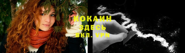 мдпв Майский